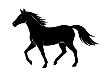 horse vector illustration