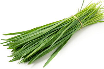 Fresh citronella grass blades isolated on white background