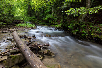 Waterfall in the mountains, river rapids, fast flow, Scenic view of pristine Carpathian nature with crystal clear water cascading over mossy rocks. Photo wallpaper, beauty of nature and the Earth.
