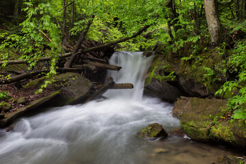 Waterfall in the mountains, river rapids, fast flow, Scenic view of pristine Carpathian nature with crystal clear water cascading over mossy rocks. Photo wallpaper, beauty of nature and the Earth.