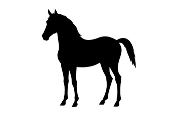 Obraz premium Black Horse Silhouette Standing Side View Vector.