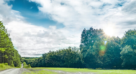 Orangenplantage im Hinterland von sunshine Coast , Queensland, Australien