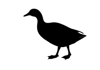 Duck Silhouette PNG – Transparent Vector Bird Outline.