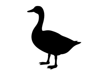 Duck Silhouette PNG – Transparent Vector Bird Outline.