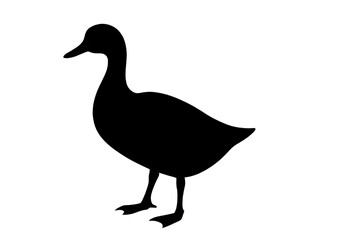 Duck Silhouette PNG – Transparent Vector Bird Outline.