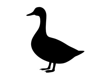 Duck Silhouette PNG – Transparent Vector Bird Outline.