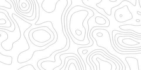 Topographic map lines contour background. Grid geographic relief topographic map pattern background vector. Vector seamless background topography stylized height of the lines map.