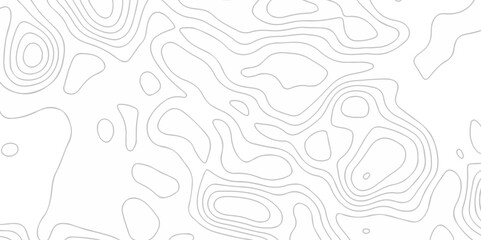 Topographic map lines contour background. Grid geographic relief topographic map pattern background vector. Vector seamless background topography stylized height of the lines map.