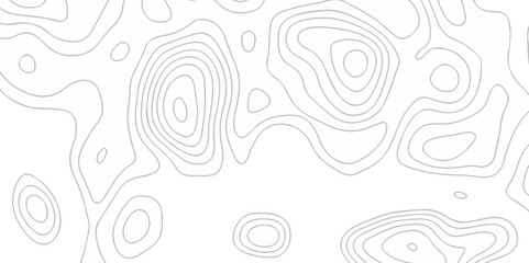 Topographic map lines contour background. Grid geographic relief topographic map pattern background vector. Vector seamless background topography stylized height of the lines map.