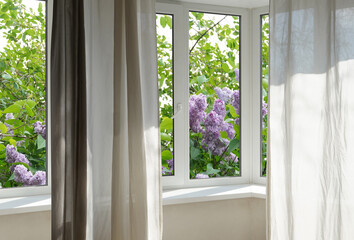 View through the window of blooming lilacs.
