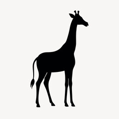 silhouette of a giraffe vector.