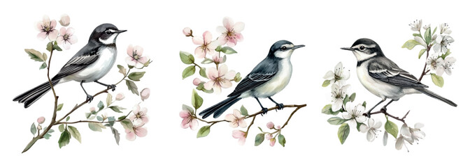 Set of vintage spring birds sitting on a branch with watercolor flowers. Watercolor gray birds sitting on a flowering branch. Spring concept. Vector illustration.