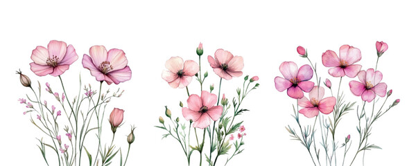 Watercolor set of pink wildflowers png. Romantic soft pink wildflowers on a transparent background. Elements for rustic designs. watercolor wild flowers. Vector illustration.
