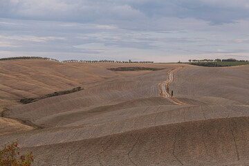 A winding dirt road winds through harvested fields on rolling hills under cloudy skies and trees framing the horizon. Italy, Tuscany.
