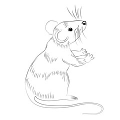 Little mouse. Rat sitting and stretching out its paws. Vector drawing by hand. Isolated on white background. 