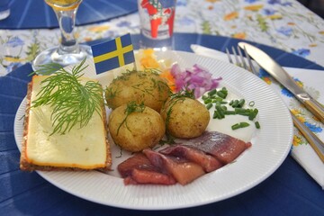 Traditional Swedish food for midsummer. New potatoes with dill, pickled herring with onions and sour cream.