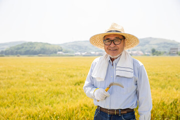 初夏の麦畑に立つ日本人の農民