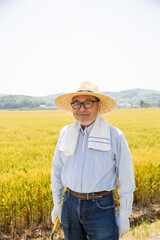 初夏の麦畑に立つ日本人の農民