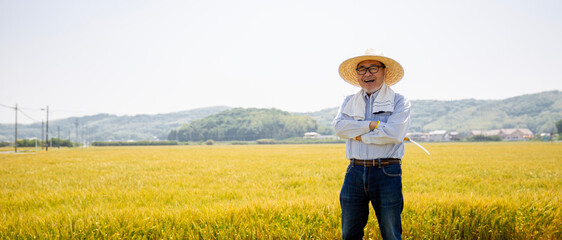 初夏の麦畑に立つ日本人の農民