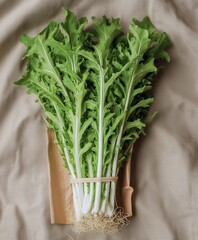 Top-view a single fresh arugula bunch, uncut, placed neatly in a shallow wooden container on a soft neutral background, only arugula leaves shown, fresh for healthy food and salad stock visuals