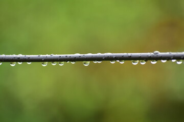 Raindrops cling to black wires against a blurred green background.
