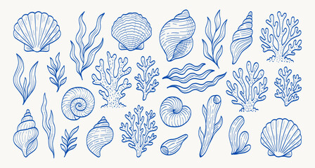 A blue and white drawing of various sea creatures including shells, seaweed, and coral. The drawing has a calming and serene mood, with the blue and white colors creating a sense of tranquility