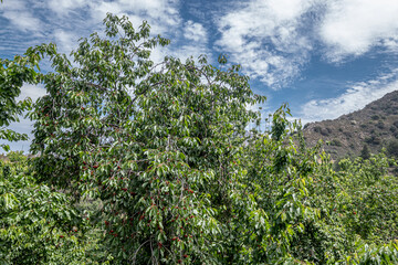 Moutoulas, a small old mountain village, neighbor of  Kalopanayiotis village, along Marathasa Valley in the Troodos Mountains, Nicosia District, Cyprus