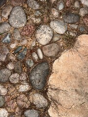 Nature Rock 