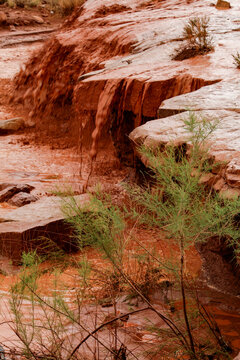 Monument Valley, Utah. USA. Flash flood runs down the arroyos.
