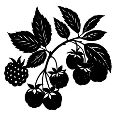 Vintage botanical summer fruit etchings