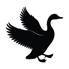 Obraz premium silhouette of rearing duck black on white background