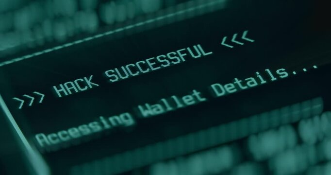 Hack Successful message, Accessing Wallet details