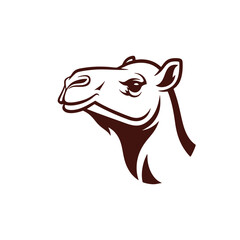 camel logo head illustration