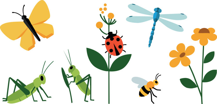 Insects and flowers vector illustration with butterfly ladybug dragonfly bee grasshoppers 