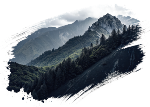 Majestic mountain range scenic landscape with forest and clouds for nature lovers design