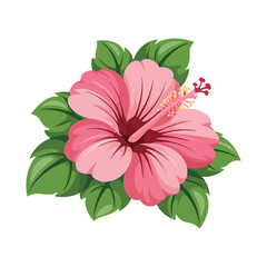 Obraz premium Cartoon Pink Hibiscus Flower Vector with Bright Leaves and Detailed Petals on White Background