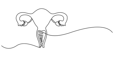 Human reproductive system one line continuous drawing. Human organ continuous one line illustration. Vector minimalist linear illustration, One continuous line drawing of woman uterus. Ovary and womb.