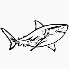 Obraz premium Exploring the majesty of a great white shark gliding through the ocean depths in a black and white monochrome style