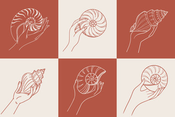 Set of hand drawn seashells in hands. Hands holding seashells. Line art style illustration.