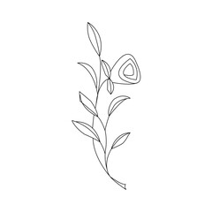 black and white flowers