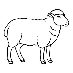 ram vector realistic line icon on white background
Vector line icon animal, wildlife