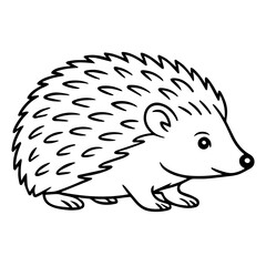 hedgehog vector realistic line icon on white background
Vector line icon animal, wildlife