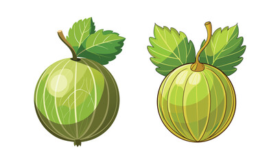 Photo of two ripe gooseberries, adorned with vibrant green leaves, isolated on white background