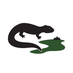 Salamander Resting On Wet Rock Silhouette