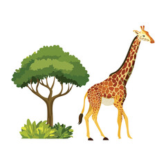 Fototapeta premium Tall Giraffe Standing Beside Green Tree