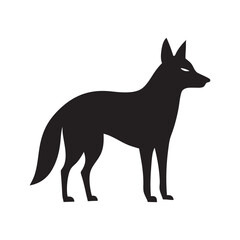 Jackal Watching Horizon Silhouette