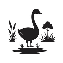 Goose Walking Beside Pond Shore