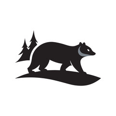 Badger Walking Through Woodland Path