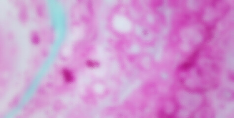 Obraz premium Symphony of Colors and Textures Forming a Vivid and Dynamic Background