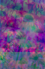 Fototapeta premium Distorted abstract echinacea